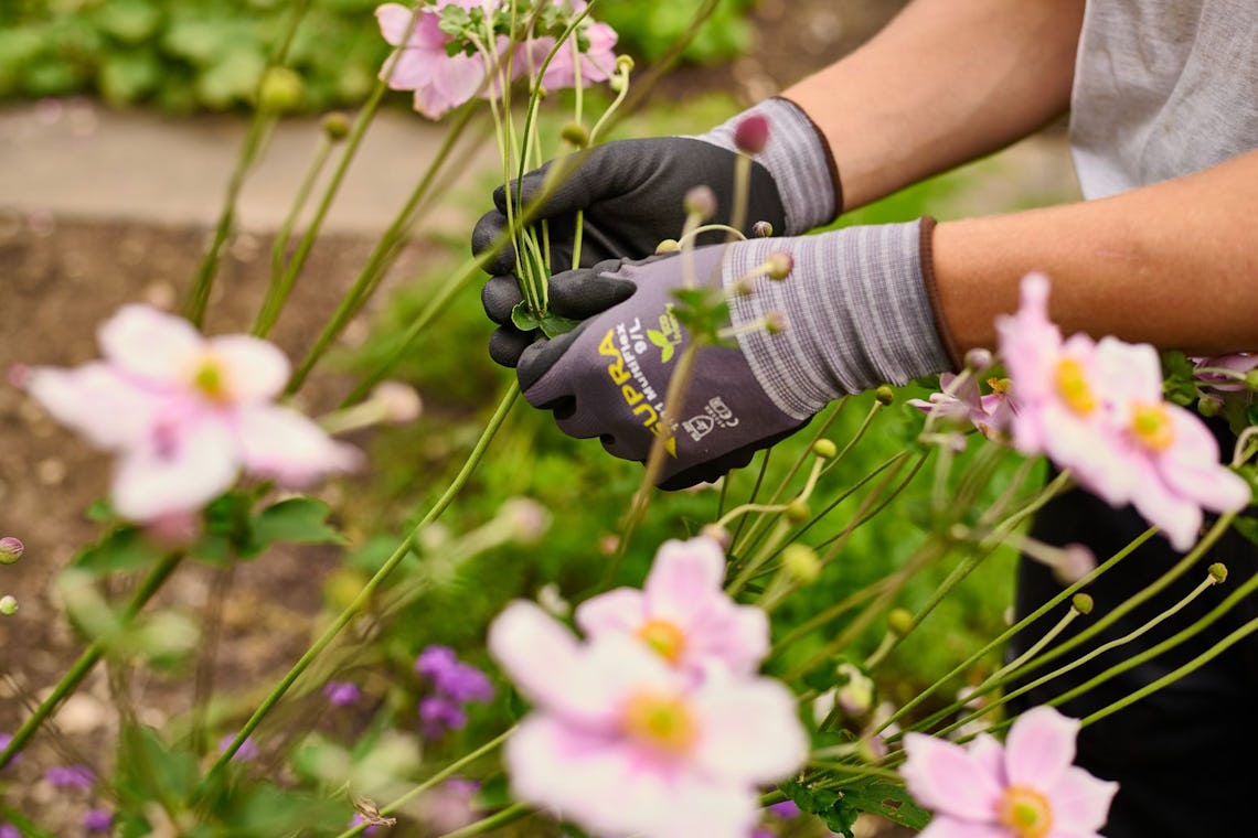 Projektleiter:in Group HR - B+G Schweiz AG