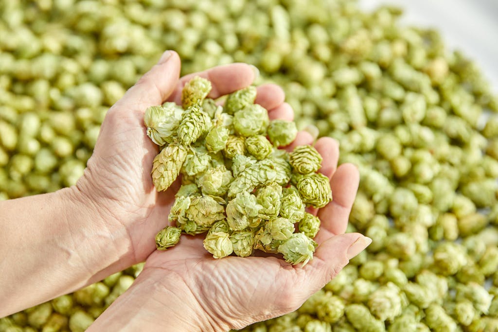 Hopfenveredlung St. Johann GmbH