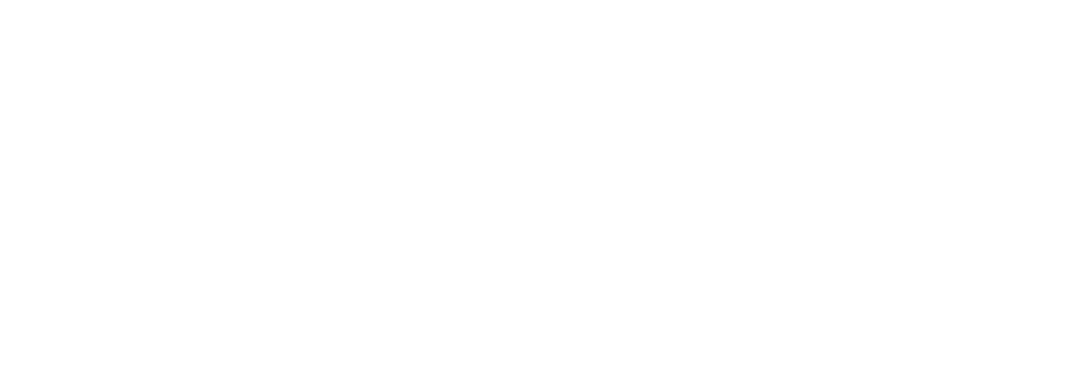 Bächler + Güttinger AG Logo