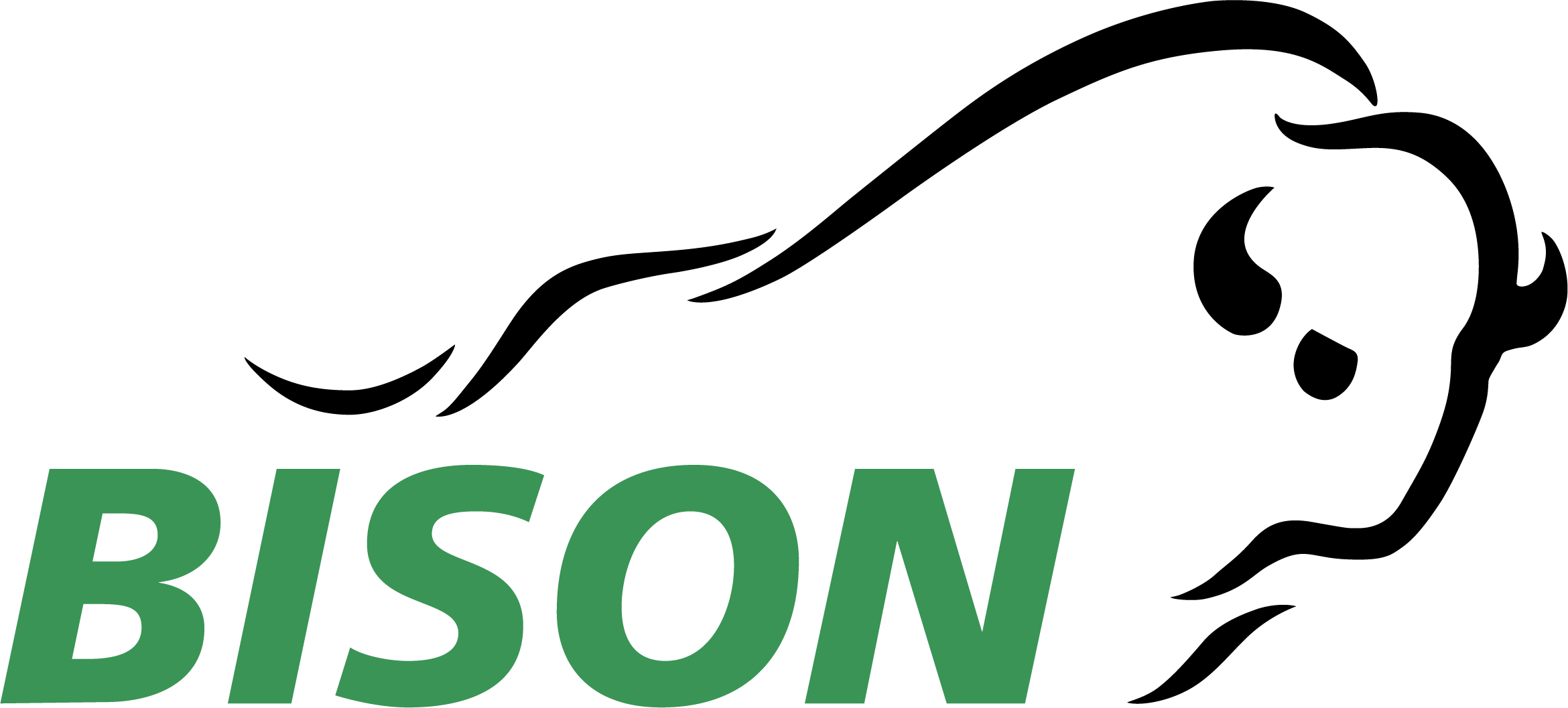 Logo Bison