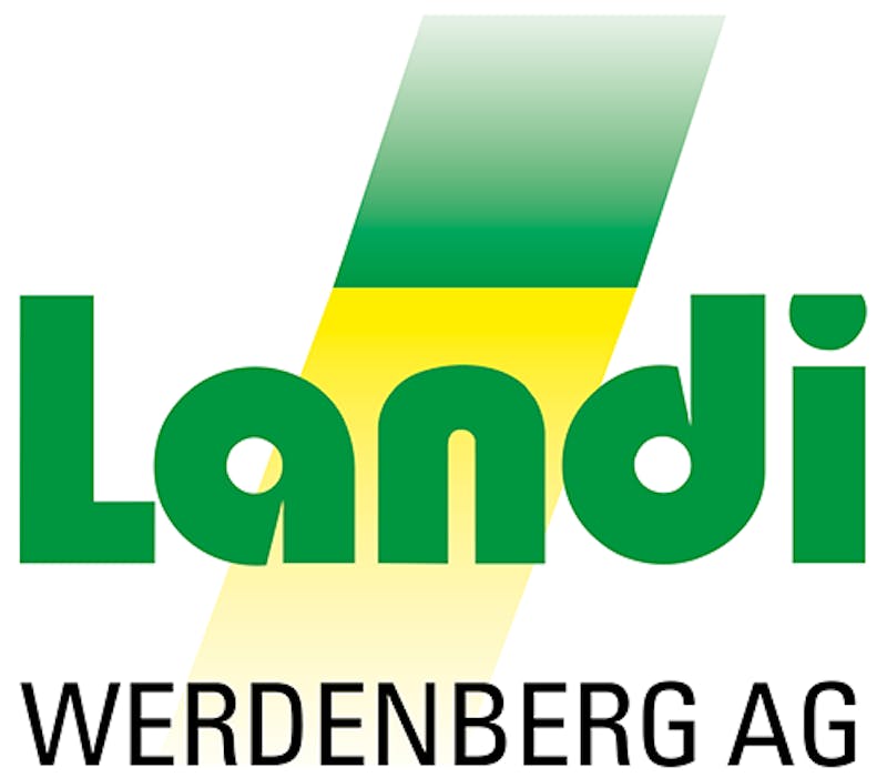Logo 60