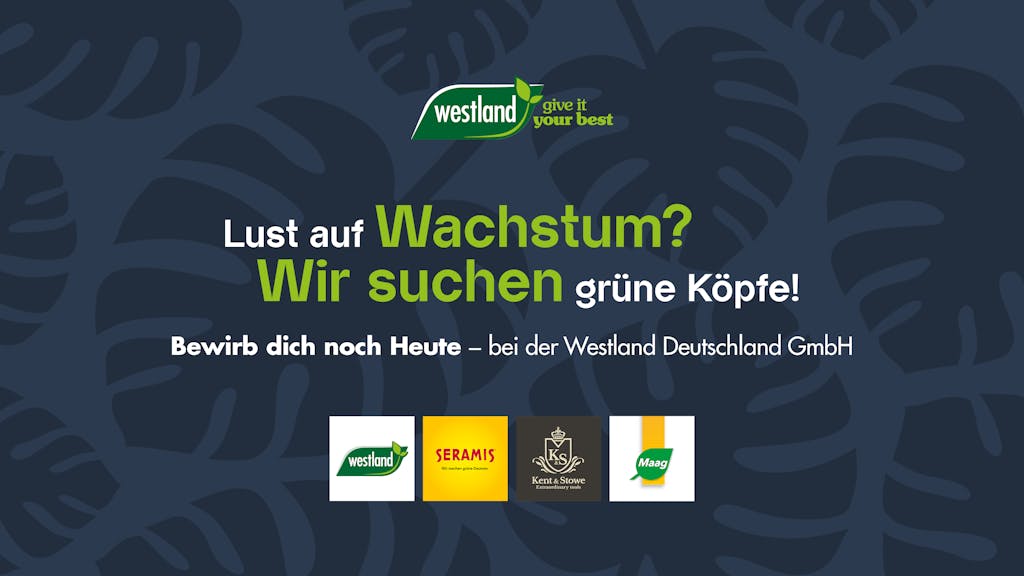 Westland Deutschland GmbH